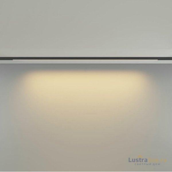 Трековый магнитный светильник Maytoni Basis TR190-1-15W2.7K-B