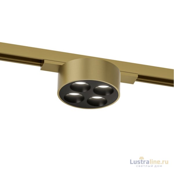Трековый однофазный светильник Denkirs Shine grill DK5772-SB Трековый однофазный светильник Denkirs Shine grill DK5772-SB