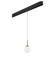 Трековый светильник Lightstar Globo PRO813013 (813013+595007)