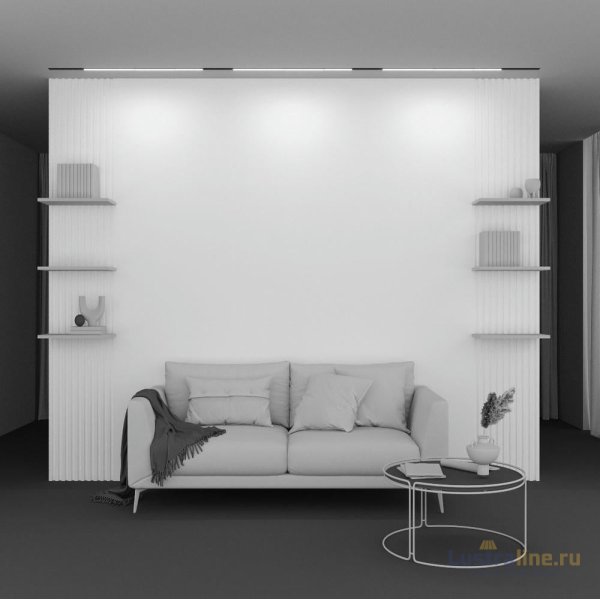 Трековый магнитный светильник Maytoni Basis TR030-2-30W2.7K-B