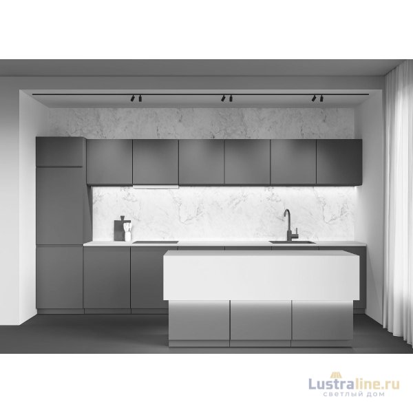 Трековый магнитный светильник Maytoni Focus Duo TR176-1-2X5WTW-M-B