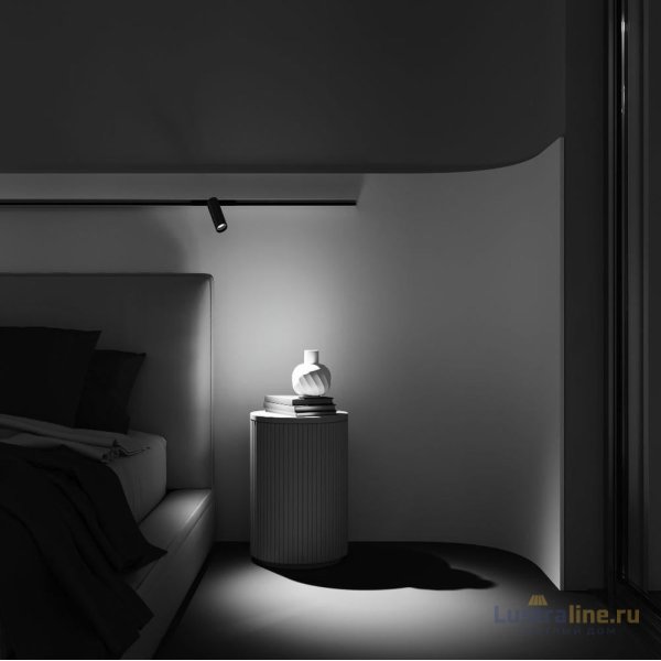 Трековый магнитный светильник Maytoni Focus Led TR032-2-12W3K-M-BBS