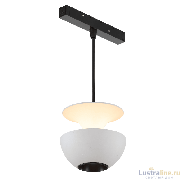 Трековый магнитный светильник iLedex Vision 4822-012-D80-6W-38DG-3000K-WH Трековый магнитный светильник iLedex Vision 4822-012-D80-6W-38DG-3000K-WH