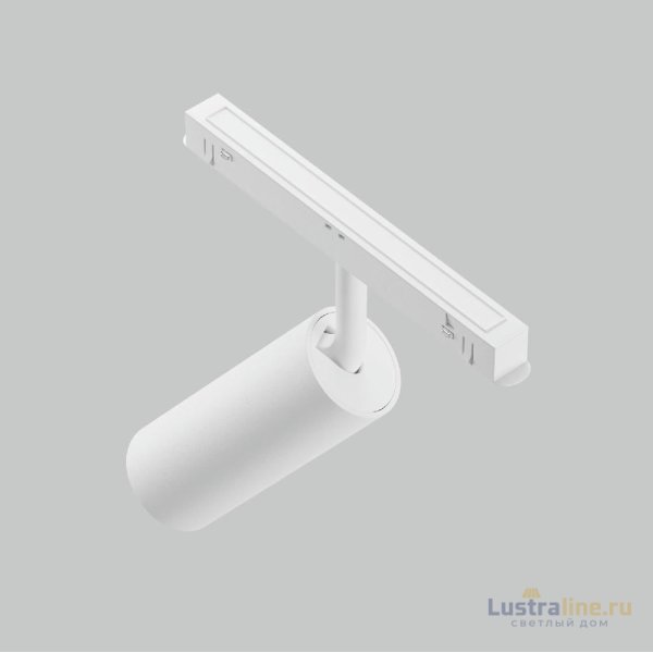 Трековый магнитный светильник Maytoni Focus LED TR032-2-12W4K-S-W