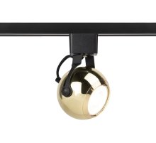 Трековый светильник Эра TR35-GU10 GD Б0053299