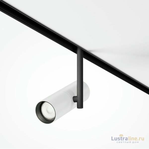 Трековый магнитный светильник Maytoni Elti TR005-4-12W-DS-BW