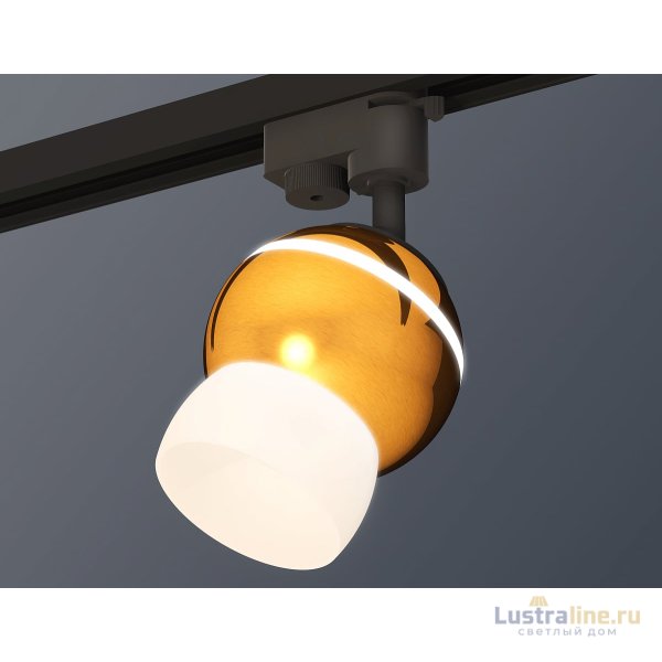 Трековый однофазный светильник Ambrella Light Track System XT1105008 (A2521, C1105, N7177)