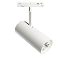 Трековый светильник Feron MGN303 41947