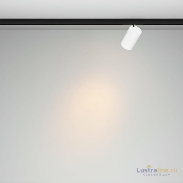 Трековый магнитный светильник Maytoni Focus Led TR187-1-5W2.7K-M-BW