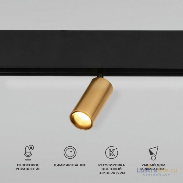 Магнитный трековый светильник Elektrostandard Slim Magnetic Dim Cantors 5W 2700-6500K латунь 4690389195303 a063531 Магнитный трековый светильник Elektrostandard Slim Magnetic Dim Cantors 5W 2700-6500K латунь 4690389195303 a063531