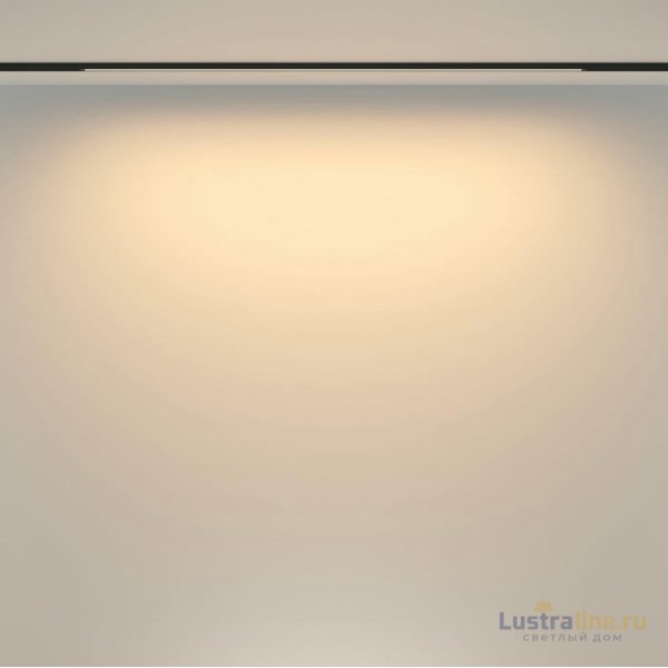 Трековый магнитный светильник Maytoni Basis TR173-1-24WTW-B