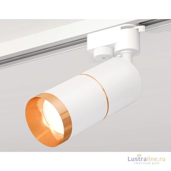Трековый однофазный светильник Ambrella Light Track System XT6301021 (A2520, C6301, A2062, C6301, N6134) Трековый однофазный светильник Ambrella Light Track System XT6301021 (A2520, C6301, A2062, C6301, N6134)