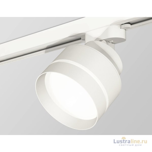 Трековый светильник Ambrella Light Track System XT8101025 (A2524, A2105, C8101, N8461)