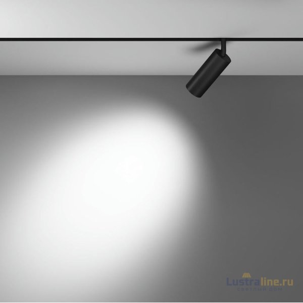 Трековый магнитный светильник Maytoni Focus LED TR032-4-12WTW-S-DD-B Трековый магнитный светильник Maytoni Focus LED TR032-4-12WTW-S-DD-B