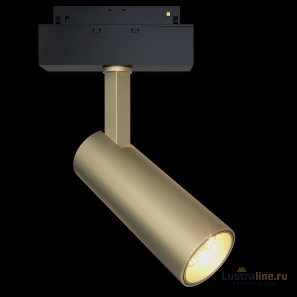Трековый светильник Maytoni Focus LED TR019-2-10W3K-MG