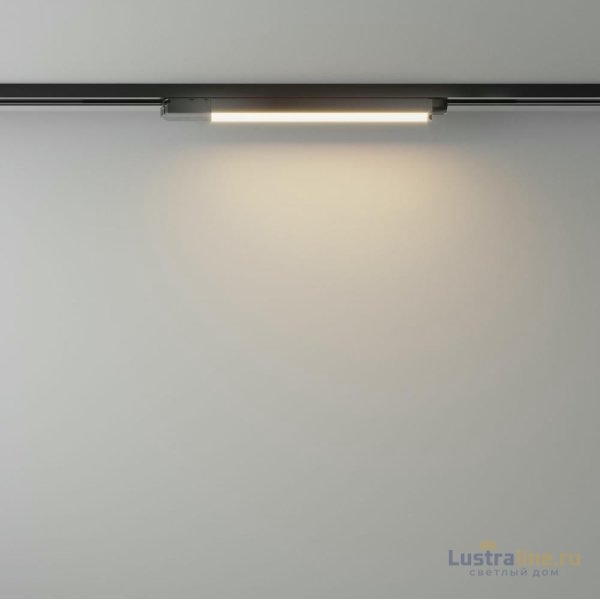 Трековый светильник Maytoni Basis TR000-1-12W3K-B
