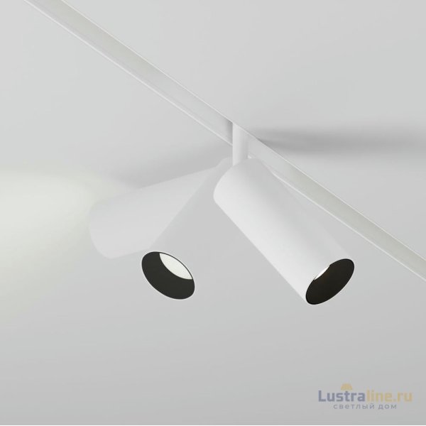 Трековый магнитный светильник Maytoni Focus LED TR032-4-12WTW-M-DSZ-W