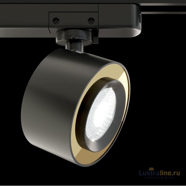 Трековый светильник Maytoni Treo TR023-1-12B4K Трековый светильник Maytoni Treo TR023-1-12B4K