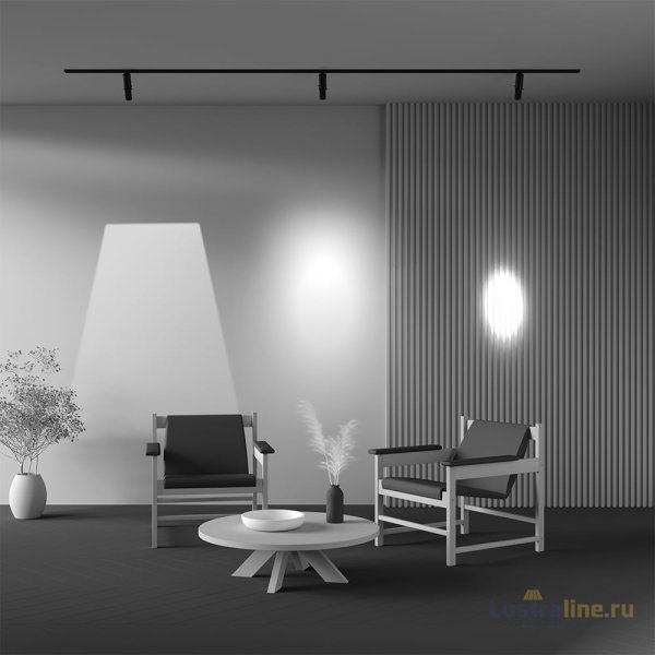 Трековый магнитный светильник Maytoni Gala TR108-2-10W3K-B