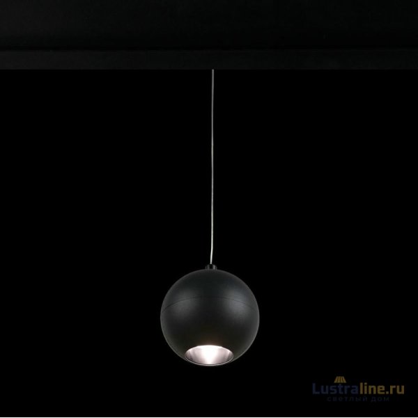 Трековый светильник Loft IT Tech T024-06P