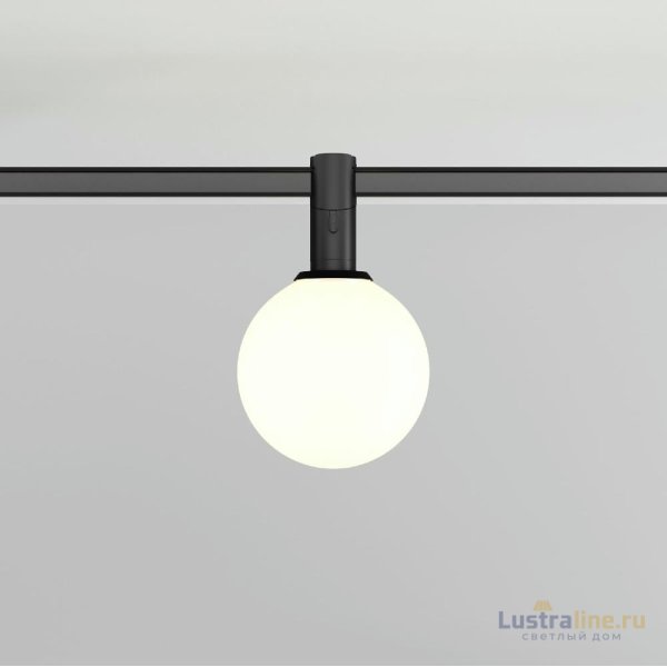 Трековый магнитный светильник Maytoni Luna TR208-1-5W3K-B