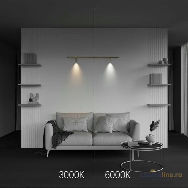 Трековый светильник Maytoni Focus LED C102CL-3W3-6K-BS