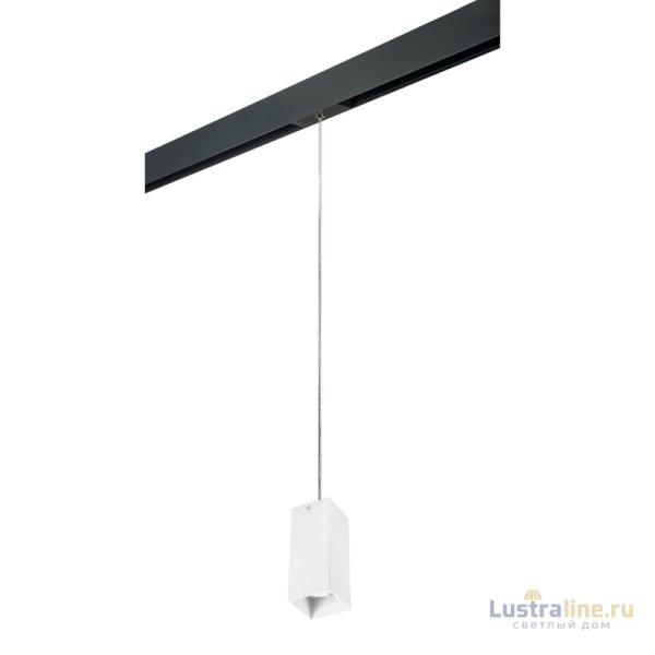 Трековый светильник Lightstar Rullo PRORP386 (216386+595957) Трековый светильник Lightstar Rullo PRORP386 (216386+595957)