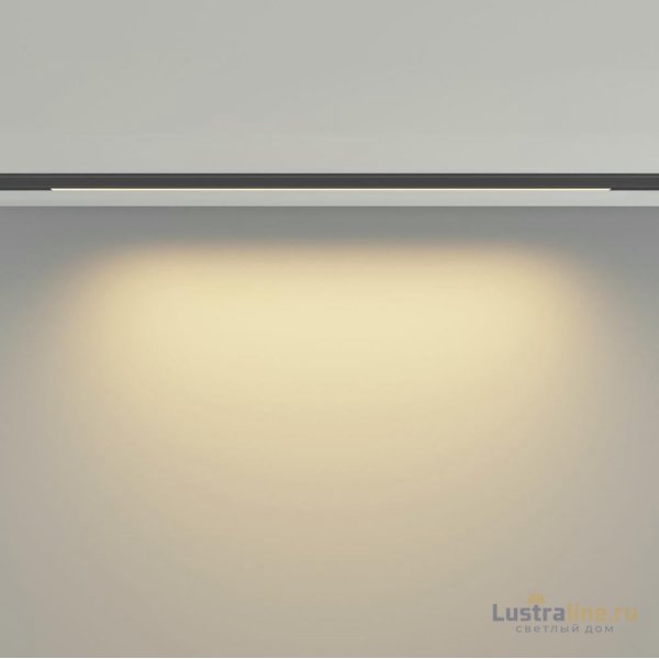 Трековый магнитный светильник Maytoni Basis TR190-1-10W2.7K-B