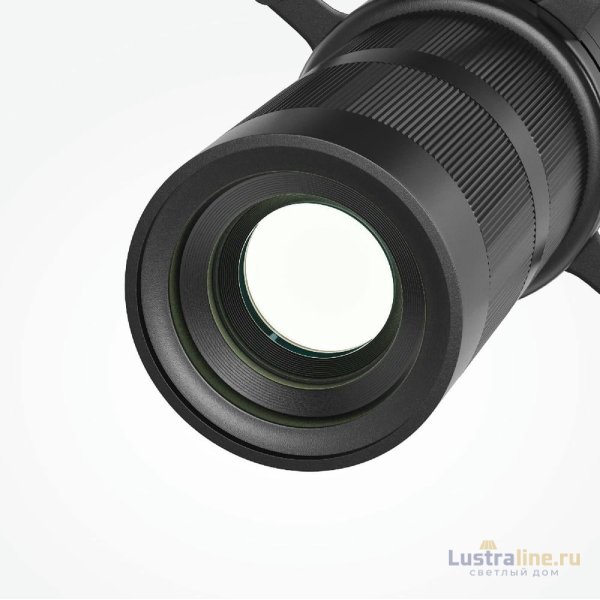 Трековый магнитный светильник Maytoni Gala TR108-4-10W3K-DS-B