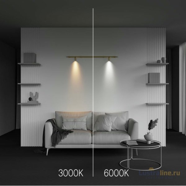 Трековый светильник Maytoni Focus LED C103CL-5W3-6K-BS