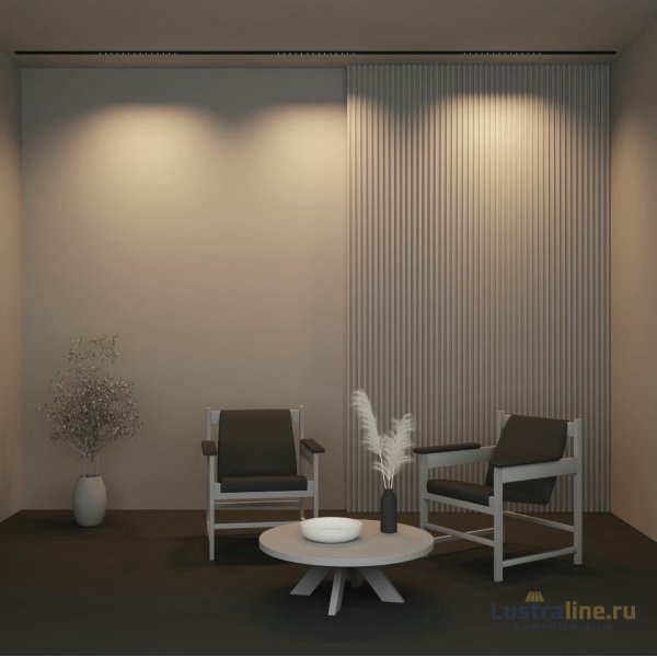 Трековый магнитный светильник Maytoni Points TR174-1-24WTW-M-B