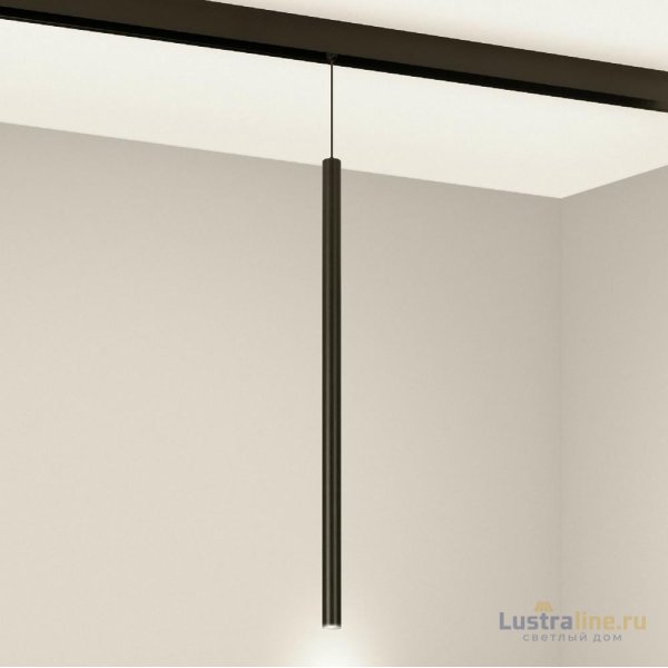 Трековый магнитный светильник Arlight MAG-ORIENT-SPOT-HANG-L500-R20-3W Warm3000 (BK, 20 deg, 48V) 046897