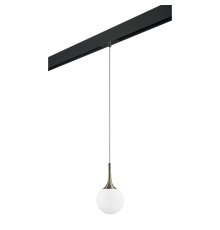Трековый светильник Lightstar Globo PRO813011 (813011+595007)