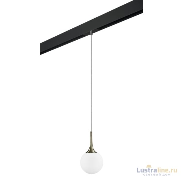 Трековый светильник Lightstar Globo PRO813011 (813011+595007)