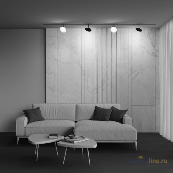 Трековый магнитный светильник Maytoni Plato TR131-2-15W3K-B