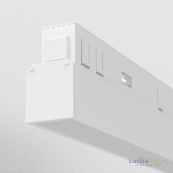 Трековый магнитный светильник Maytoni Basis TR030-2-24W3K-W