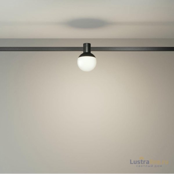 Трековый магнитный светильник Maytoni Luna TR149-1-5W4K-B