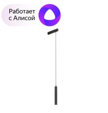 Трековый светильник Denkirs Smart DK8008-BK