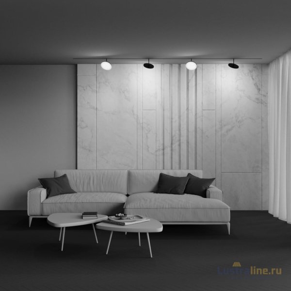 Трековый магнитный светильник Maytoni Plato TR131-2-15W4K-B