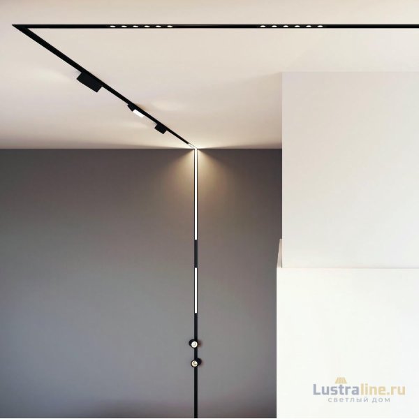 Трековый магнитный светильник Arlight MAG-DOTS-25-L200-6W Warm3000 (BK, 30 deg, 24V, DALI) 046323