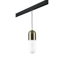 Трековый светильник Lightstar Ramo PRO690111 (690111+595007)