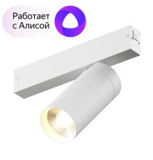 Трековый светильник Denkirs DK8020-WH