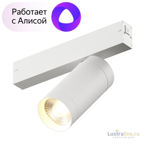 Трековый светильник Denkirs DK8020-WH Трековый светильник Denkirs DK8020-WH