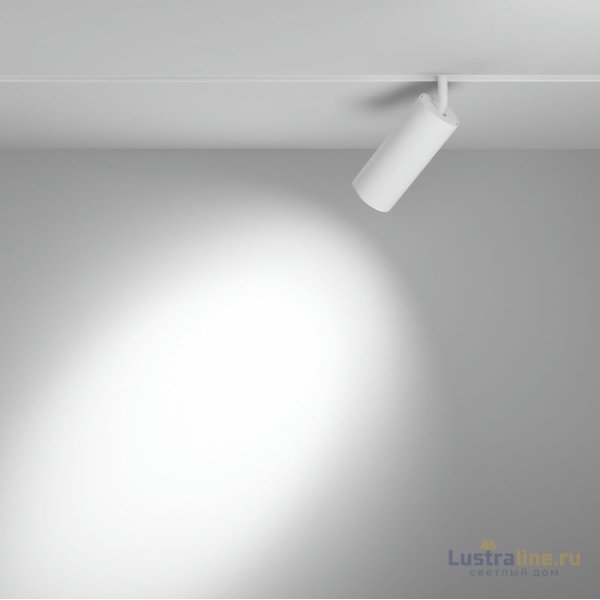 Трековый магнитный светильник Maytoni Focus LED TR032-4-20WTW-S-DD-W Трековый магнитный светильник Maytoni Focus LED TR032-4-20WTW-S-DD-W
