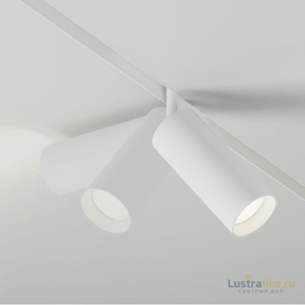 Трековый магнитный светильник Maytoni Focus LED TR032-4-20WTW-S-DD-W Трековый магнитный светильник Maytoni Focus LED TR032-4-20WTW-S-DD-W