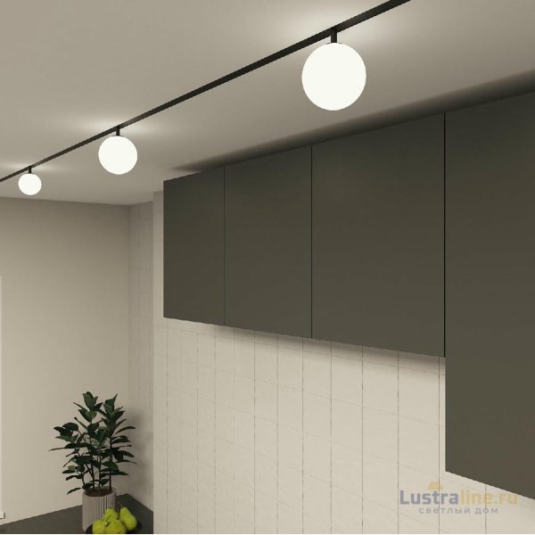 Трековый однофазный светильник Denkirs Smart Moon DK8051-BK Трековый однофазный светильник Denkirs Smart Moon DK8051-BK