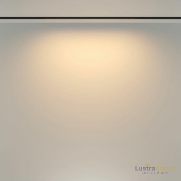 Трековый магнитный светильник Maytoni Basis TR173-1-16WTW-B