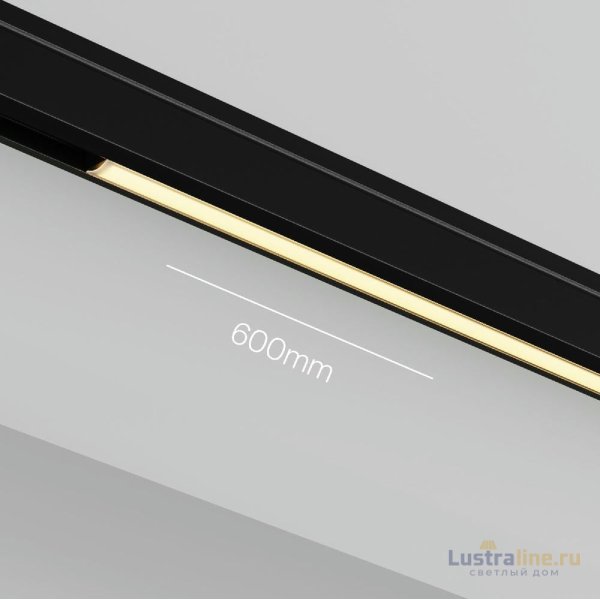Трековый магнитный светильник Maytoni Basis TR190-1-10W2.7K-B