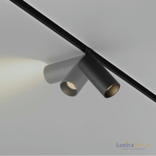 Трековый магнитный светильник Maytoni Focus Led TR032-2-5W2.7K-M-B