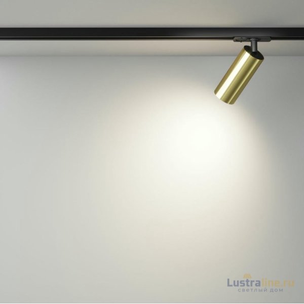 Трековый однофазный светильник Maytoni Focus Led TR021-1-12W4K-W-BBS Трековый однофазный светильник Maytoni Focus Led TR021-1-12W4K-W-BBS